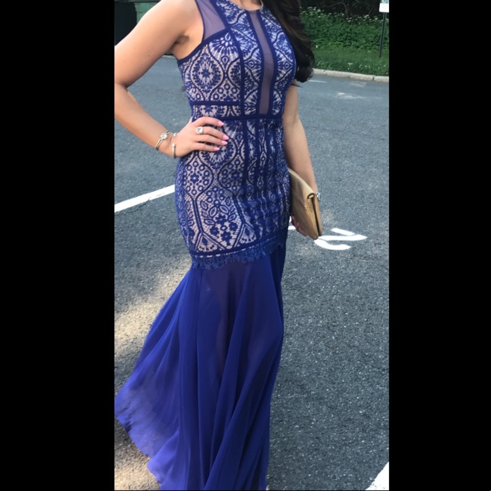 BCBG Leonie Sleeveless Burnout Lace Gown